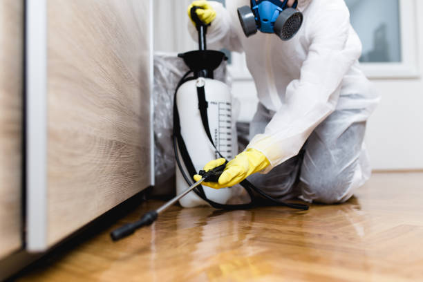 Best Termite Control Services  in Silver Spring, MD