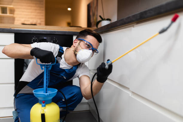 Best Wasp Removal Services  in Silver Spring, MD