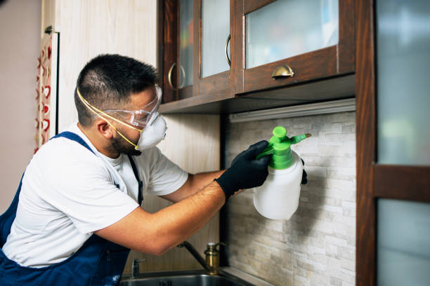 Best Ant Control Services  in Silver Spring, MD