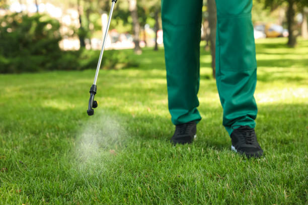 Best Best Pest Control Companies  in Silver Spring, MD