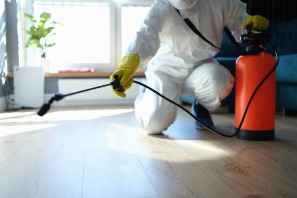 Best Best Pest Control Companies  in Silver Spring, MD