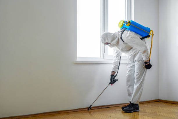 Best Pest Removal Services  in Silver Spring, MD