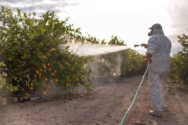 Best Ant Control Services  in Silver Spring, MD
