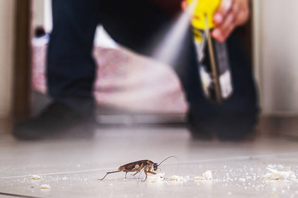 Pest Prevention Services in Silver Spring, MD