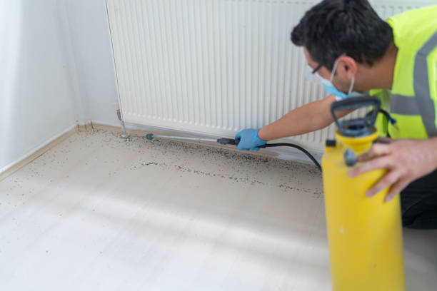 Best Affordable Pest Control Services  in Silver Spring, MD