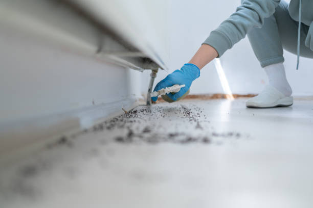 Pest Control Cost in Silver Spring, MD